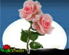 Sparkling Pink Roses