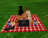 ~LS~ Picnic for 2