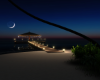 v. Night Party Island