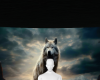 wolf background
