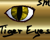 Tiger Eyes Male v.1