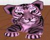 NS Babys Tiger Cub