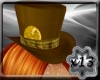 x13 Lucky COIN Hat 