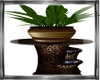 007 Plant  Fountains