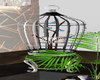 bird cage  Animated