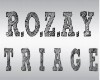 ROZAY TRIAGE SIGN