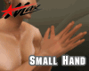 ! New Small Hands [J]