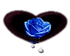 Black heart Blue rose