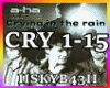 ♫Crying in the Rain