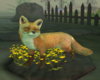 Fox In Nature