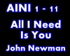 John Newman-All I Need