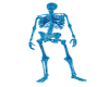 Ice Blue Skeleton Avatar