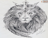 SKIN LION MESI