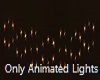 Only Animated Lights