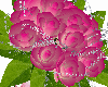 Bouquet Ramo rosa noiva