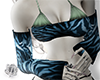 zebra babe 2.0