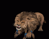 Lion King PET