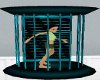 Teal Wall Cage
