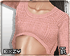 ❥ Mini Sweater >PK<