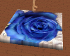 blue rose dance floor