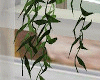 J2 Animated Hanging Ivy