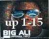 Big Ali -Universal Party