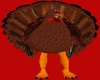 M/F Turkey Costume