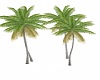 Island Palm Tess