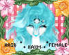 ꨄBubbles II Hairꨄ
