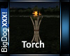 [BD] Torch