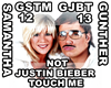 Gunther Bieber Touch