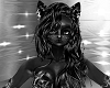 black cat fur hairs F
