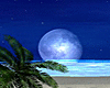 Beach Night Full Moon