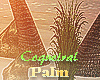 Coqueiral_Palm