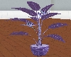 LL-Plant soft purple