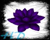 (Nyx)Purple Lotus Flower