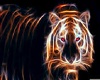Glowing Tiger