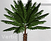 V ! Deco Palm Plant