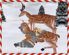 Winter Deer Running