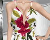Summer Collection Dress