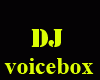 ✗ DJ Voicebox