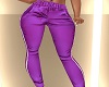 PURPLE RLL JOGGERS BY BD