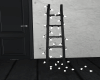 Mirrored City Ladder