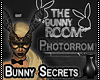 [CS] Bunny Secrets .Room