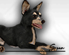 🐕 Dog Toy Terrier F
