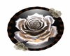 LS Antique  Rose Picture
