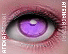 ❄ Cosmos Purple