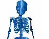 ElectricSkeleton(animate