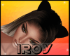!R Cats Ear