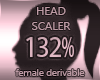 Head Scaler 132%